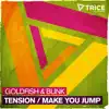 Goldfish & Blink - Tension / Make You Jump - EP